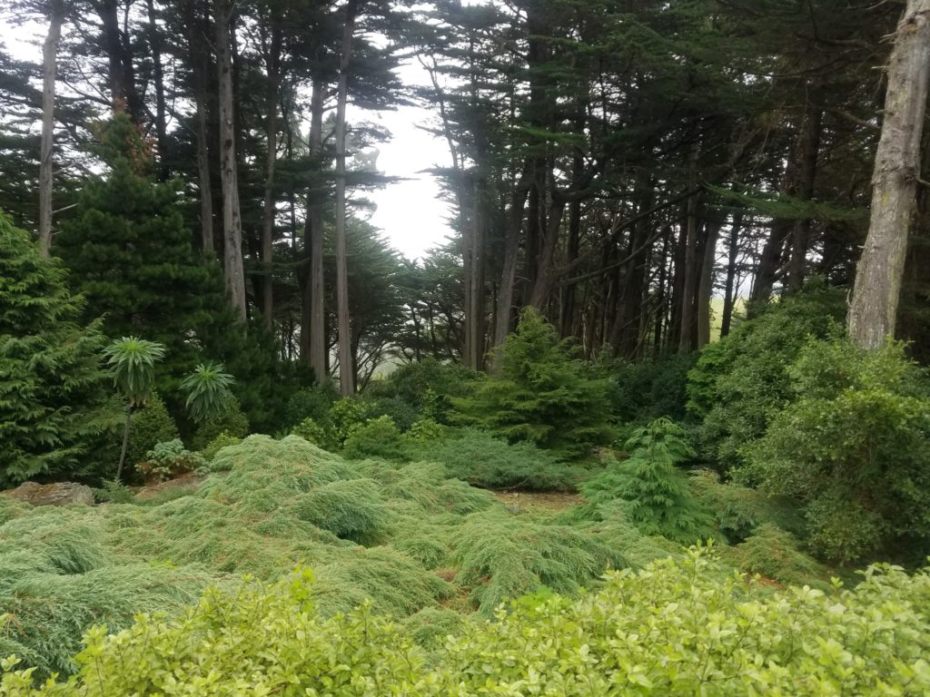 The magic of Aotearoa