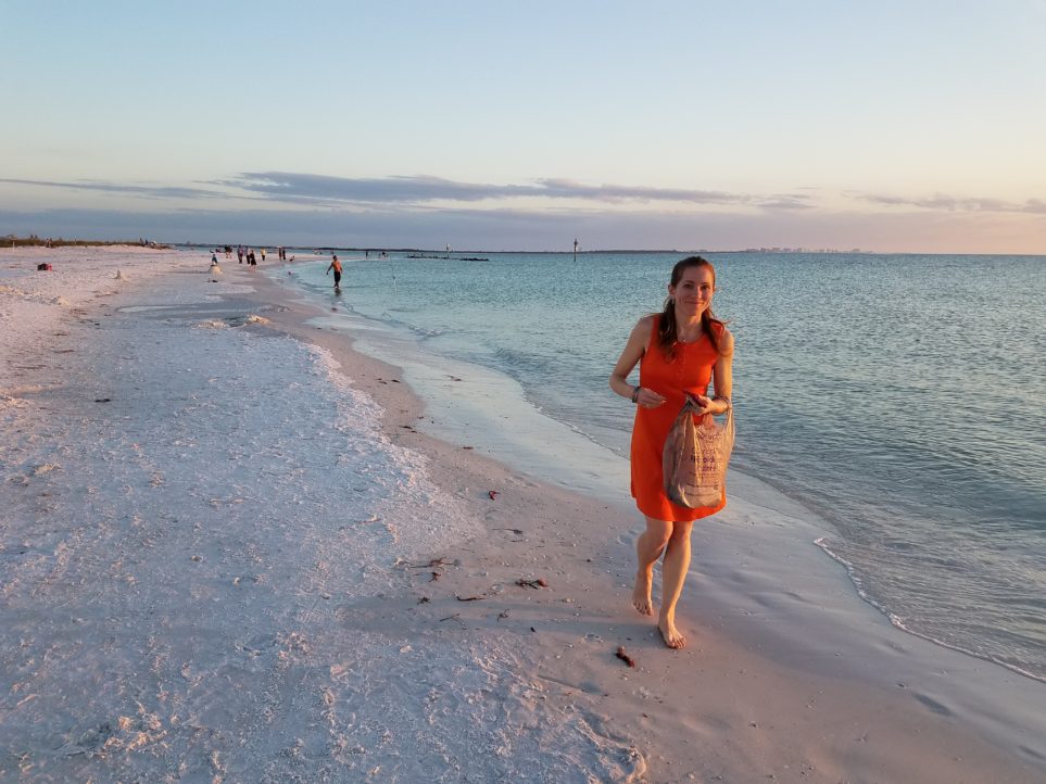 Craft with shells you find in the surf