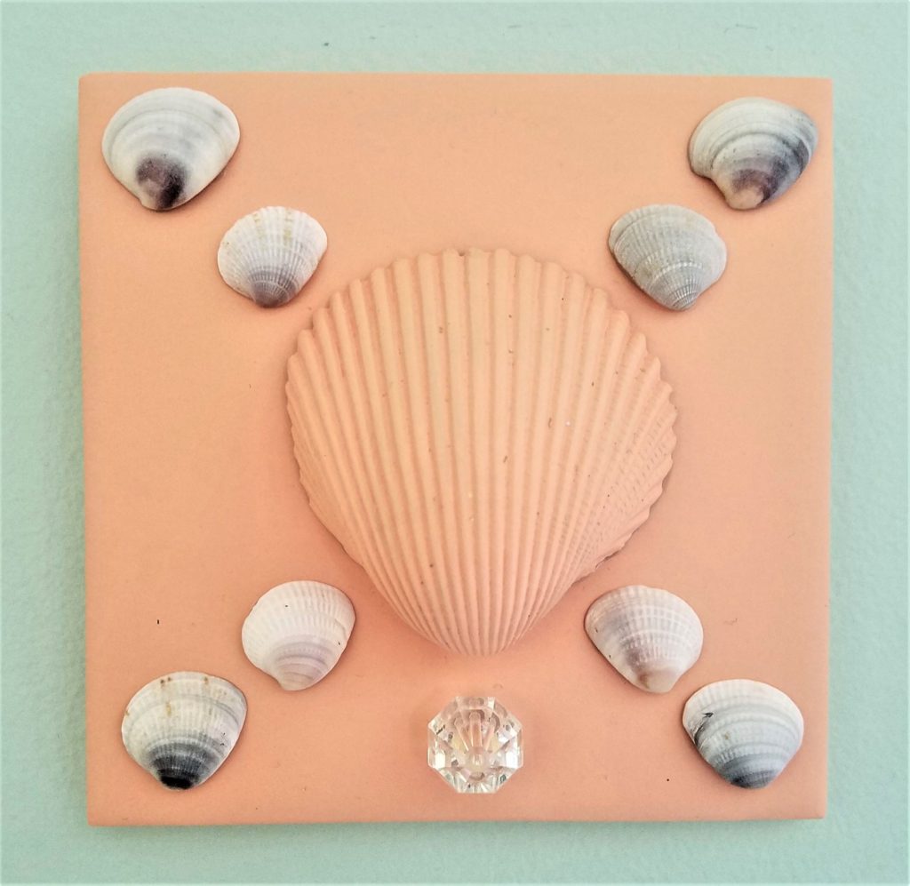 Shells on painted tile