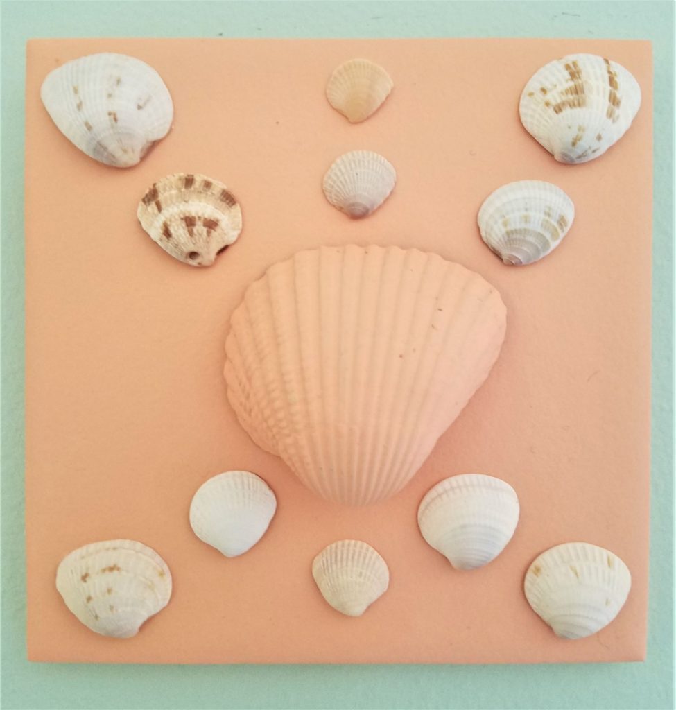 Shells on painted tile