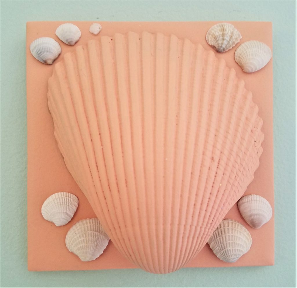 Shells on painted tile