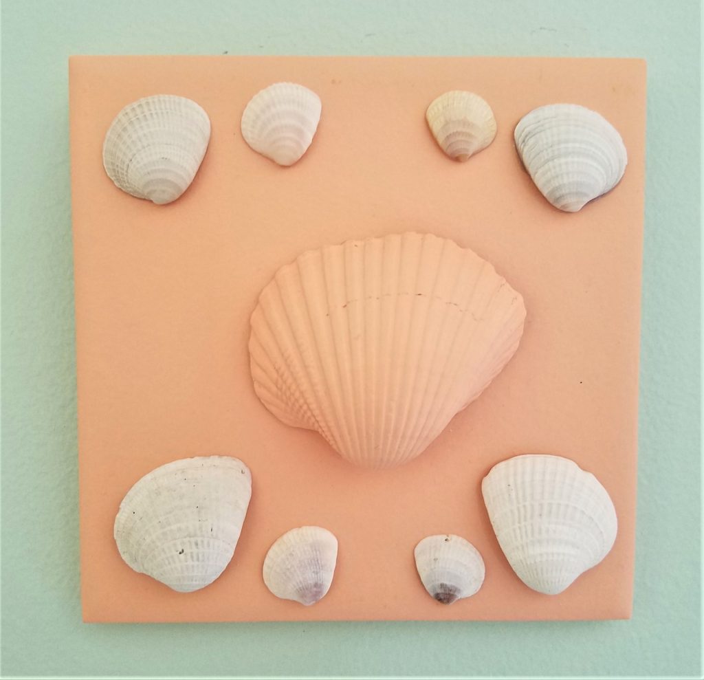 Shells on painted tile