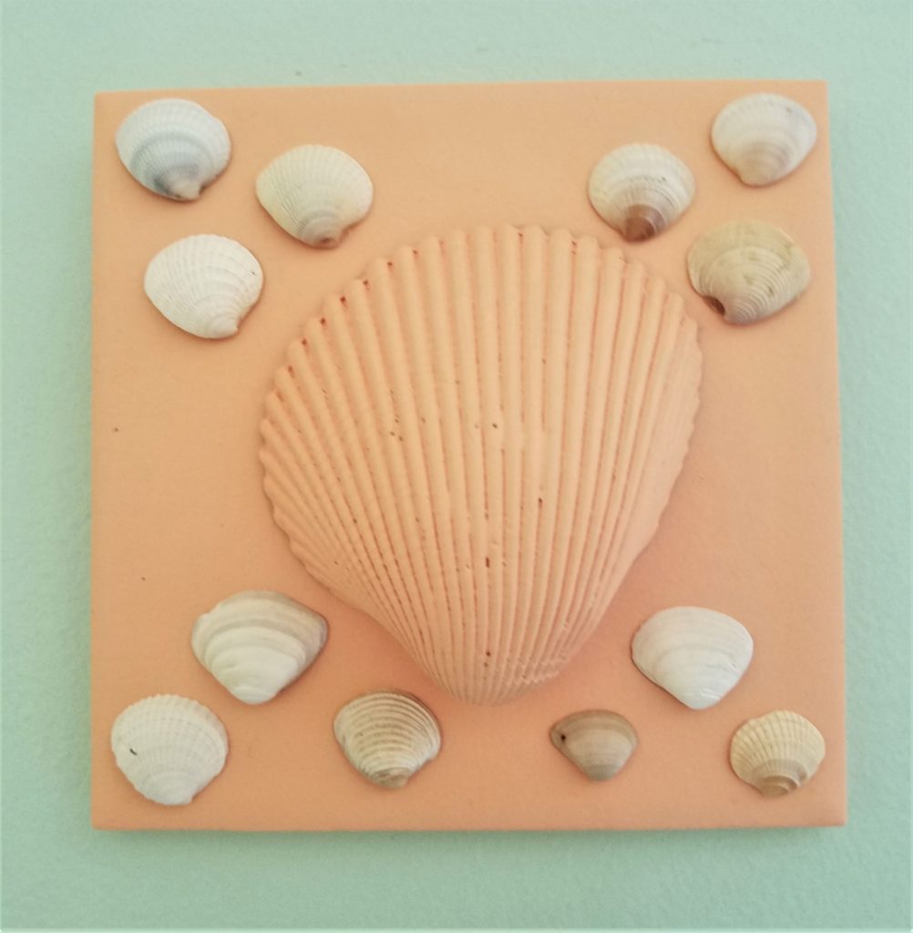 Shells on painted tile