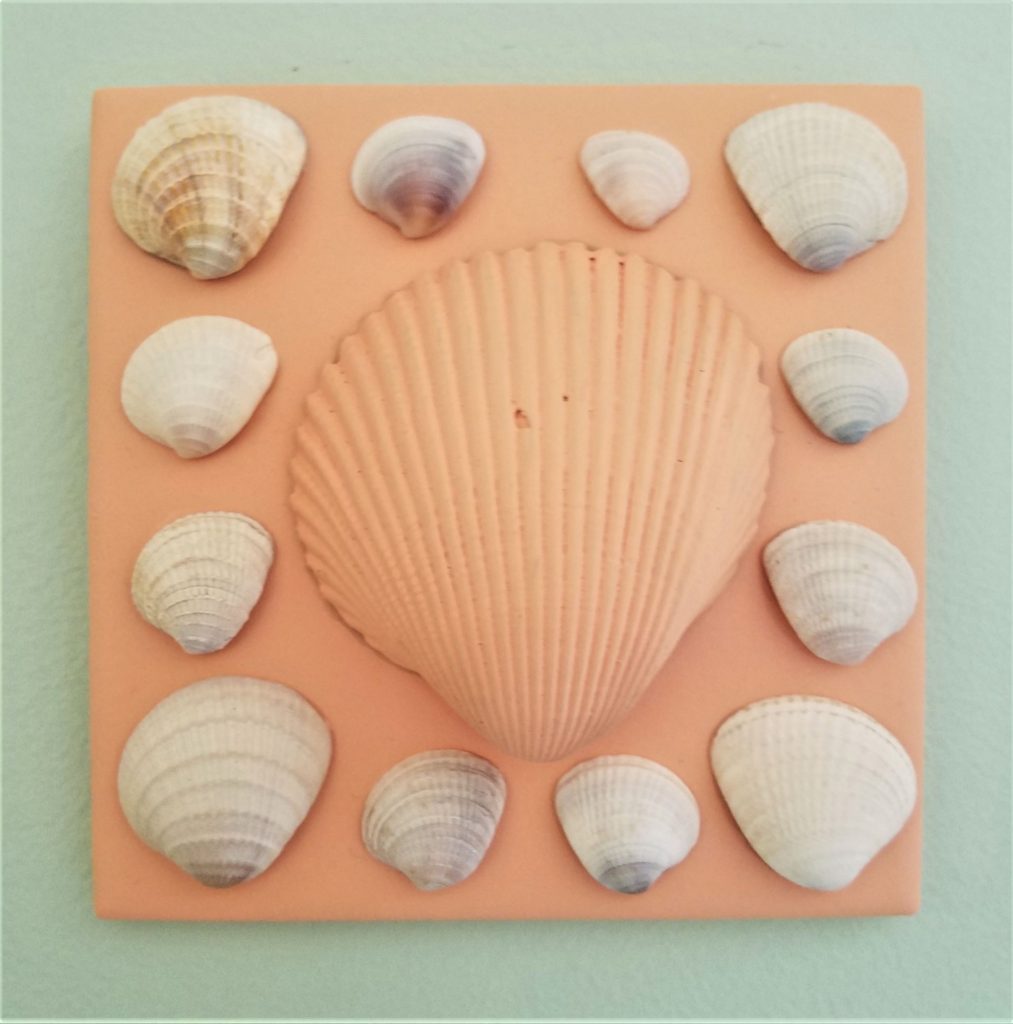 Shells on painted tile