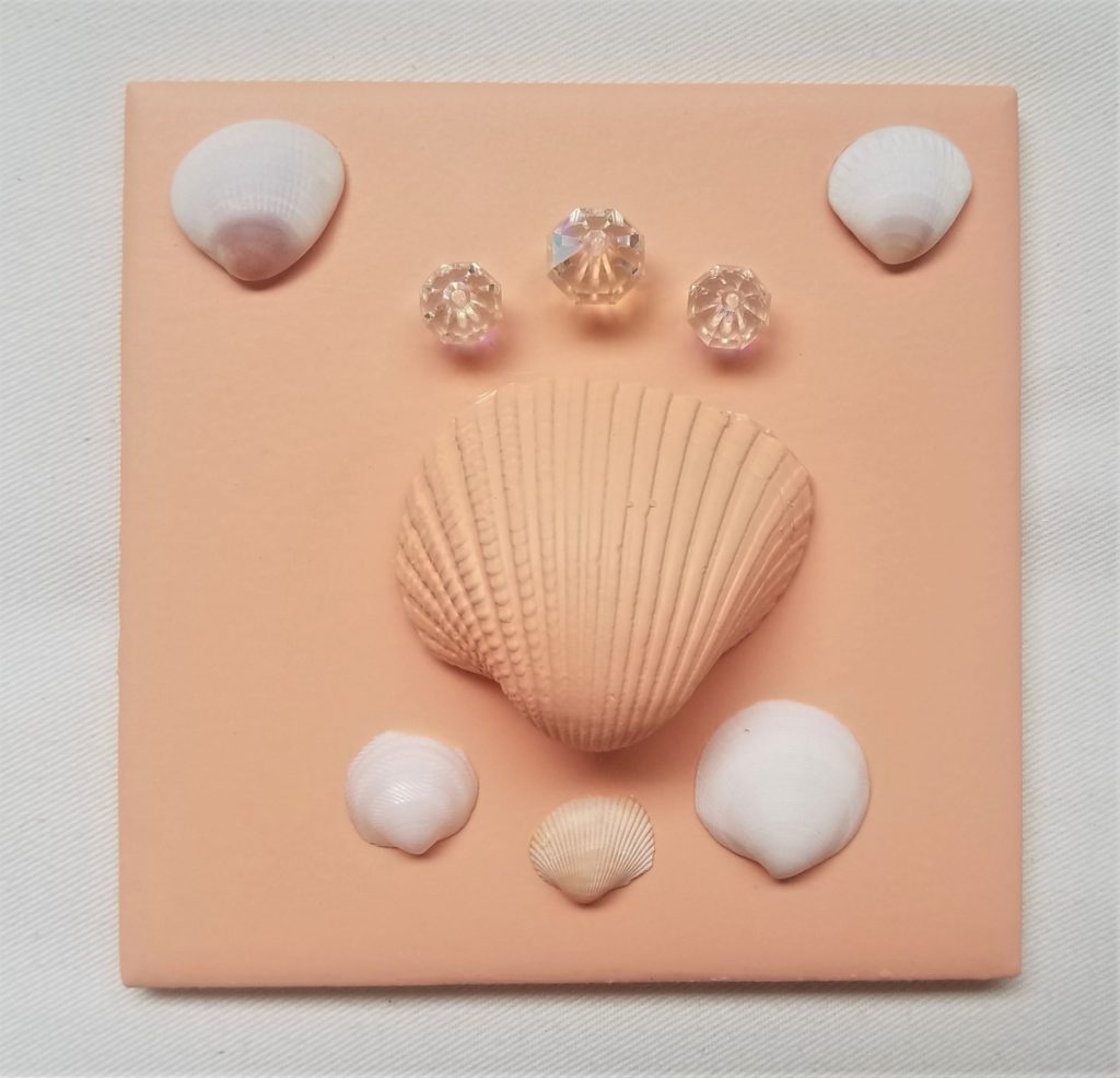 Shells on painted tile