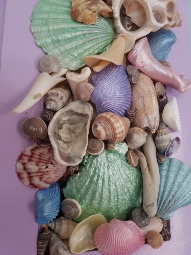 Others' shell artwork is beautiful inspiration