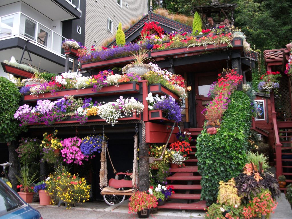 Discover a house covered in flowers at Seattle's Alki Beach