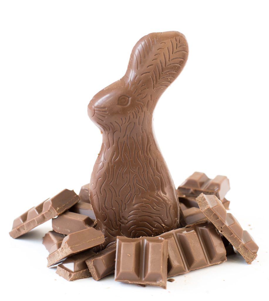 The Easter bunny bathes in chocolate