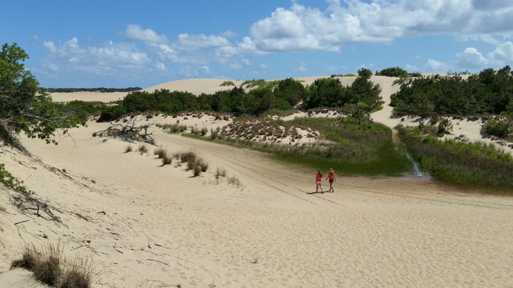 Scale sand dunes at Kitty Hawk