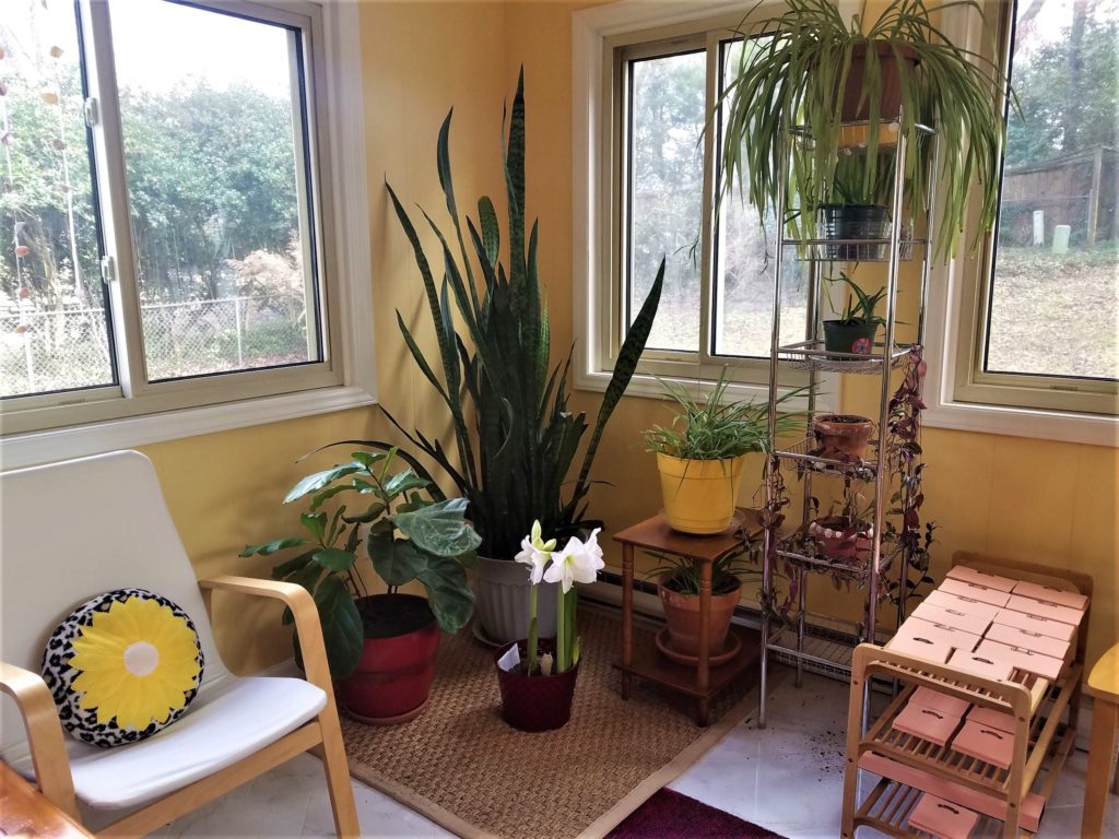 A clutter-free sunroom is glorious