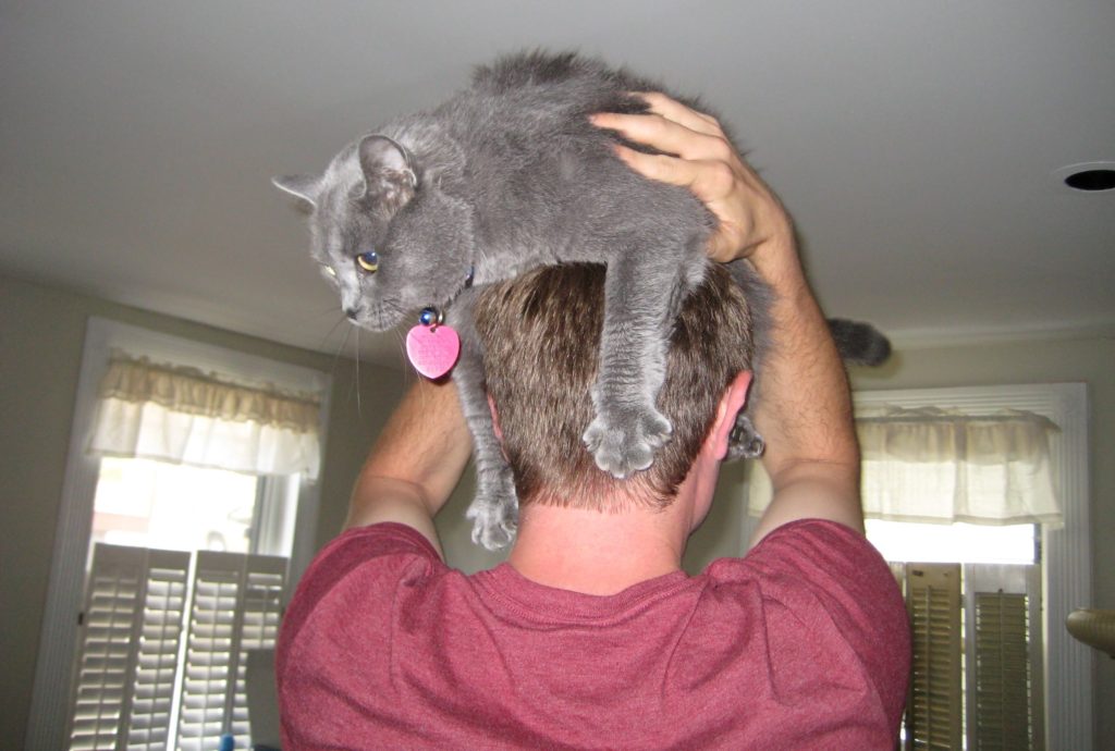 Roommates can bring unexpected cheer