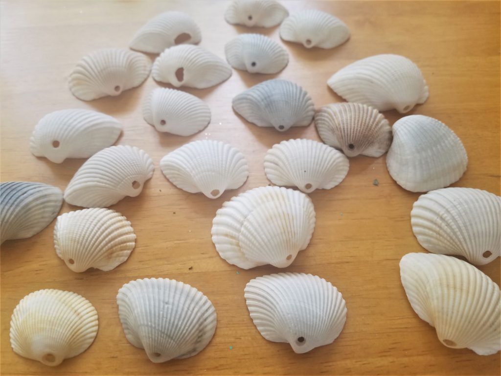 Shells with holes