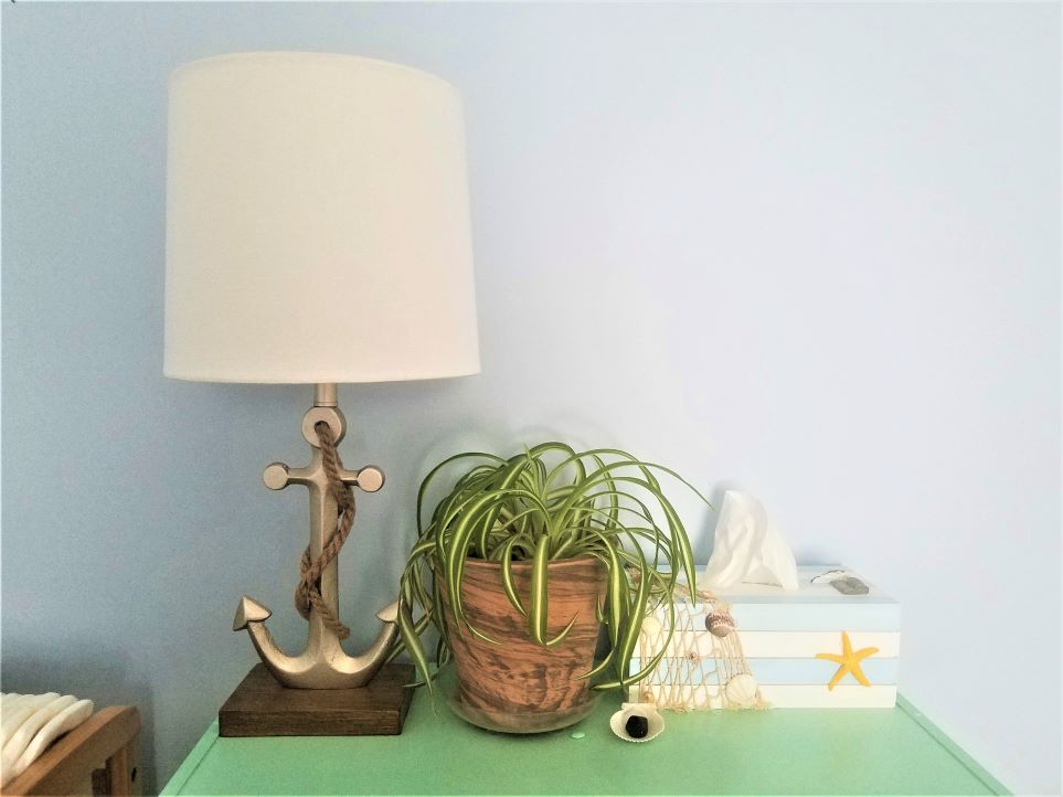 Anchor lamp, plant, and nautical tissue holder