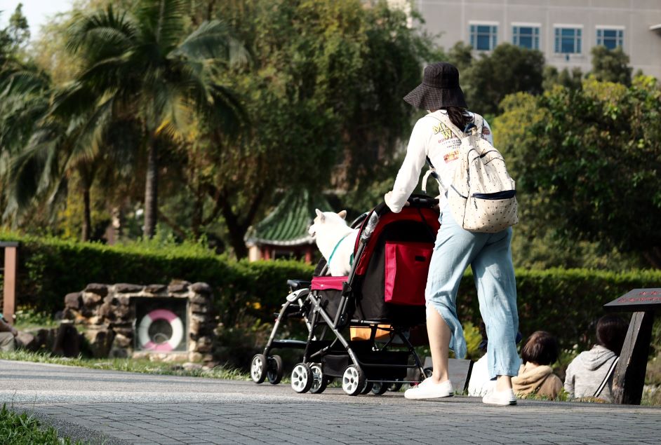 Pushing young children in a stroller at the park is good exercise