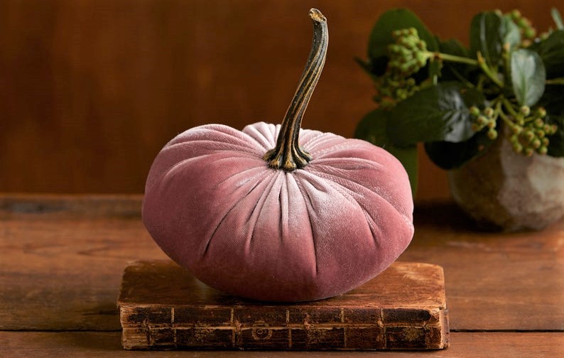 Dusty pink velvet pumpkin