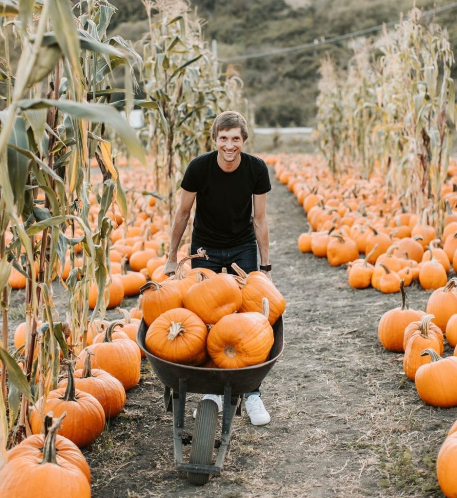 Guy pushing wheelbarrow of pumpkins at pumpkin patch