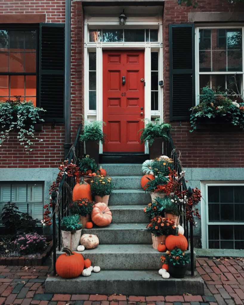 Pumpkins lining front door steps