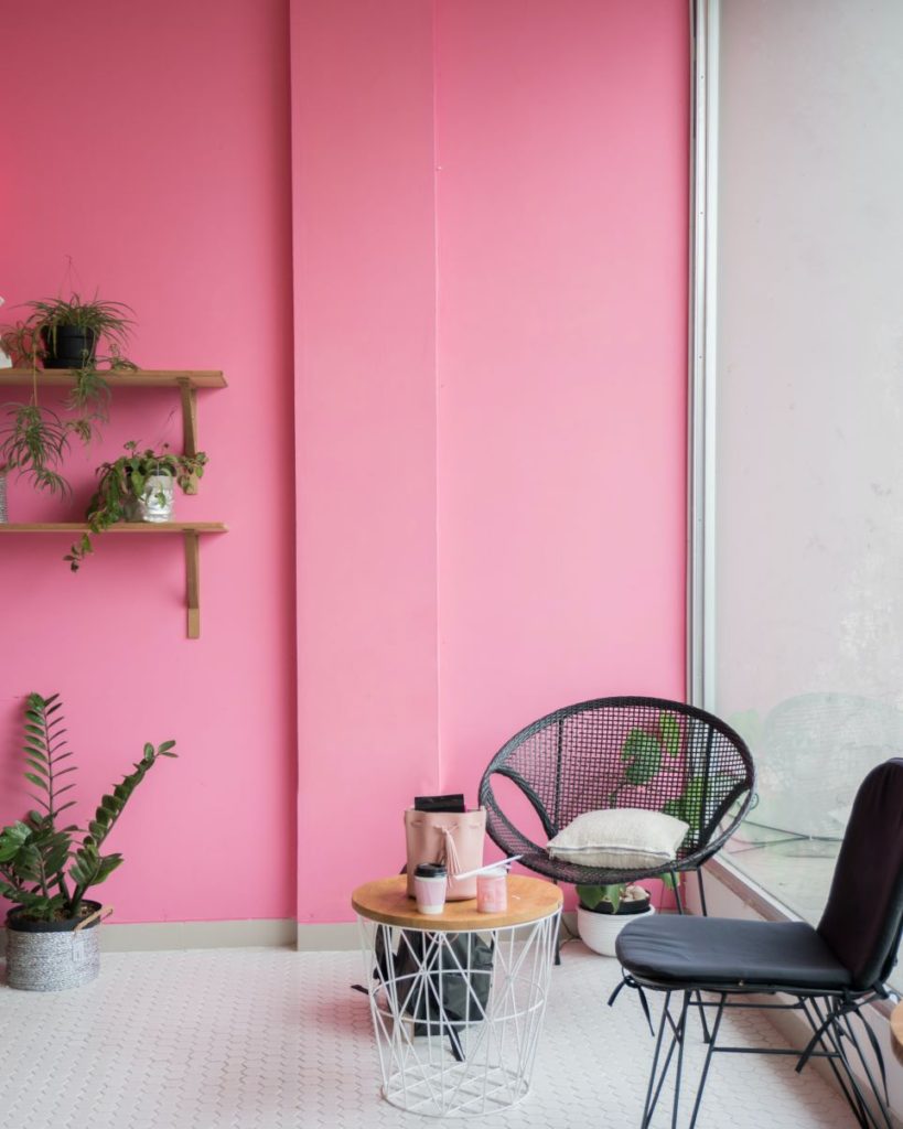 Happy pink painted wall with plants