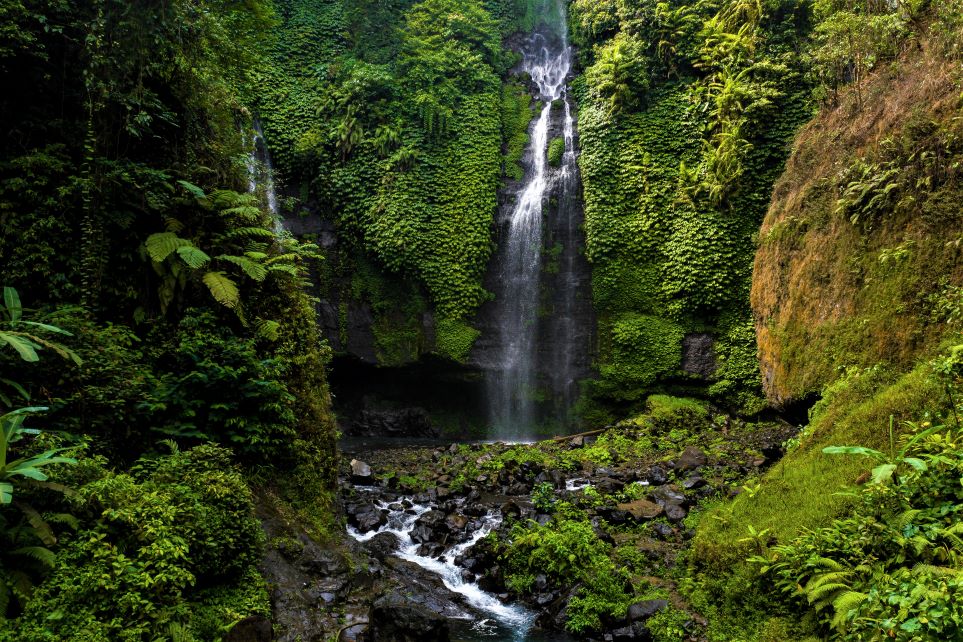 Lush, verdant jungle with waterfall