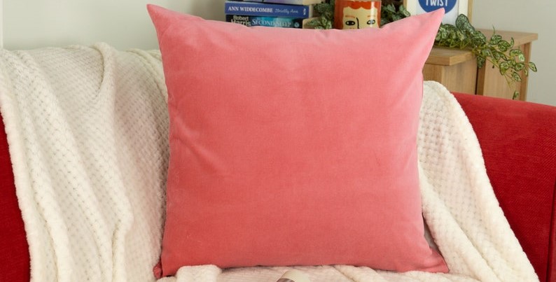 velvet cushion cover