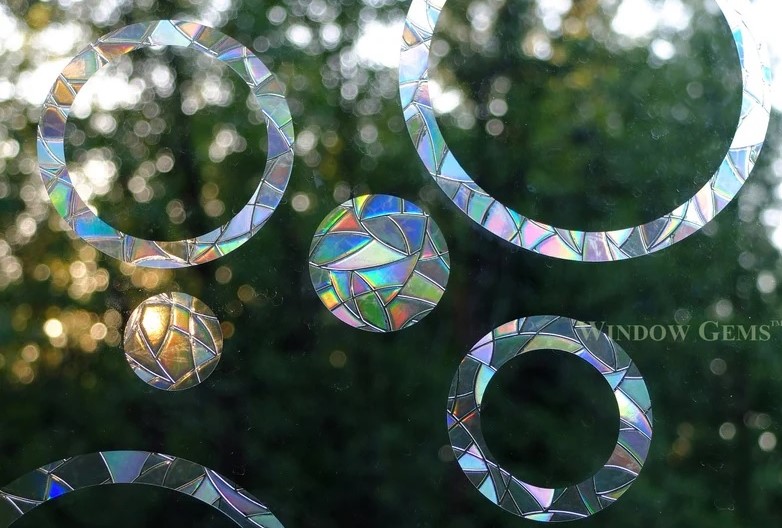 set of 22 window sticker bird decoys in iridescent circles and rings is functional decor to protect birds and sparkle