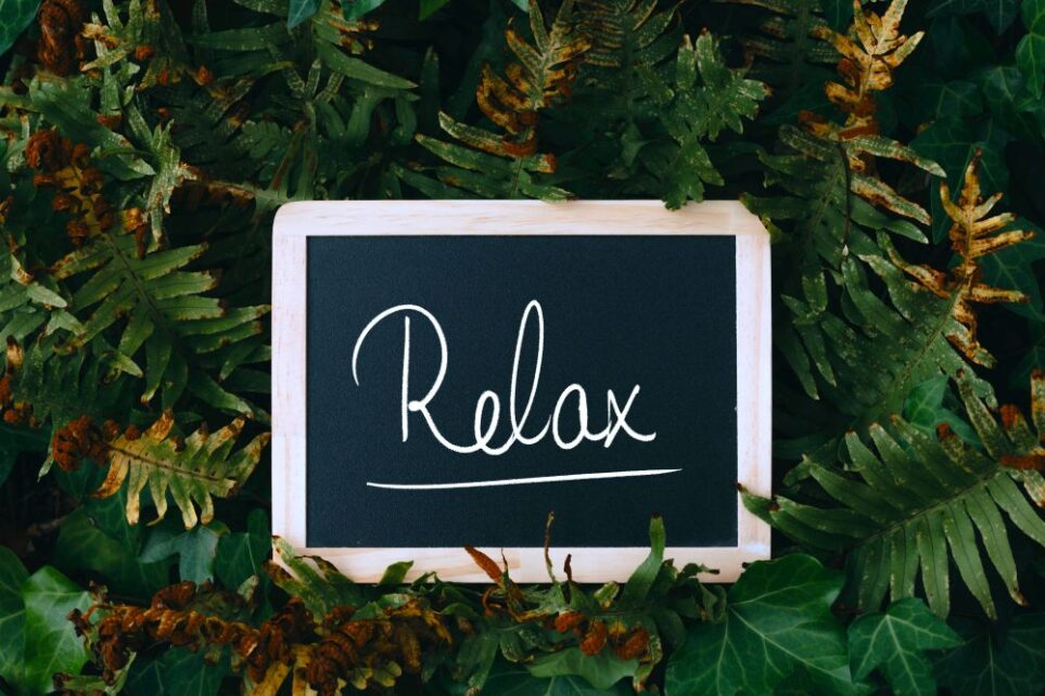 A chalkboard amidst ferns reads 'Relax' - which is imperative for how to make a house feel like a home during a moving process