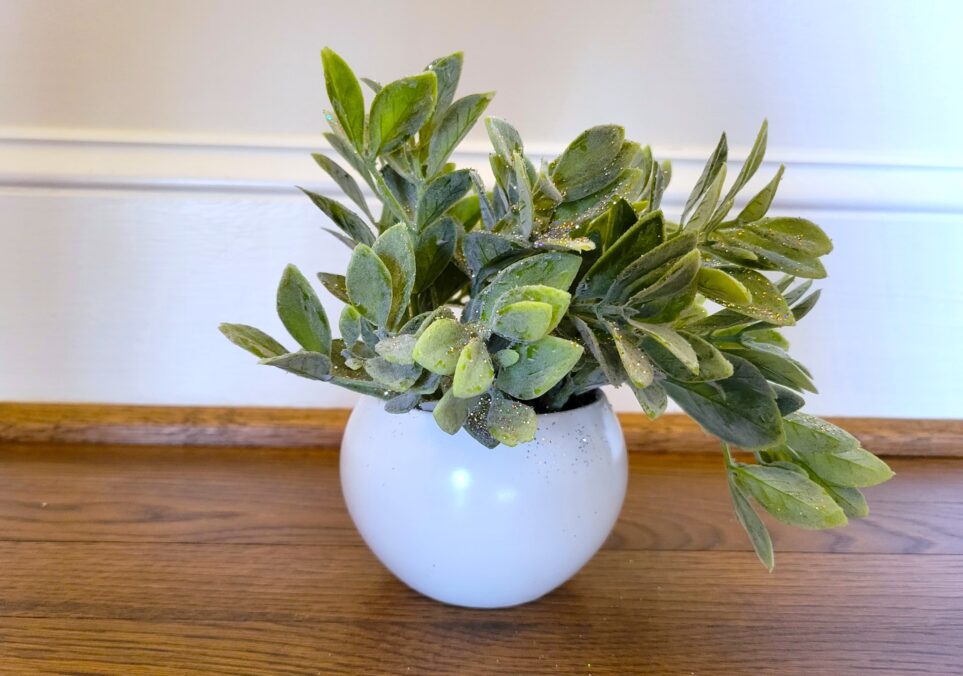 Small artificial plant in round white vase with waxy green leaves covered in glitter sits on wood floor in front of white wall