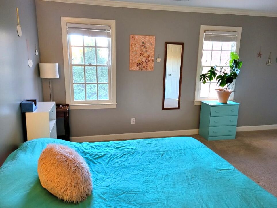 A view of the primary bedroom from back corner by bed (mostly in view): opposite wall has two windows. A blue-painted dresser stands in front of right window with large healthy green monstera plant on top. In left corner are a small wood end table with tall lamp on top, and next to it is small white bookcase/table next to bed with tissue box on top