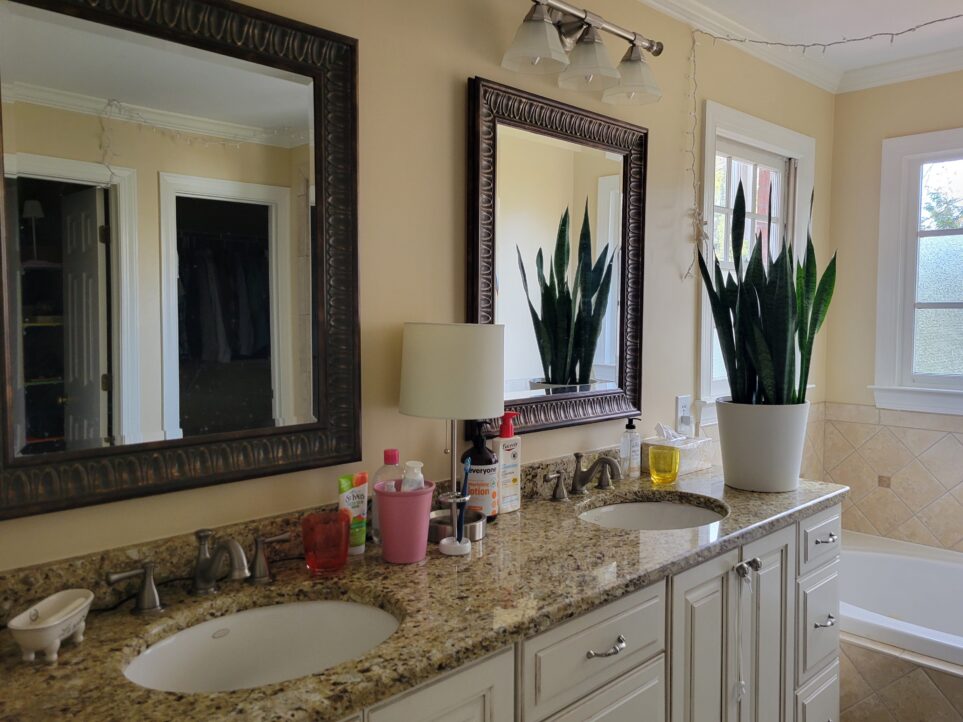 Angled view of primary bathroom double sink countertop with drawers/cabinets below, partially out of sight. Tub is in partial sight toward back of photo behind sink. A snack plant stands at the far end of the sink counter in front of the tub and two windows