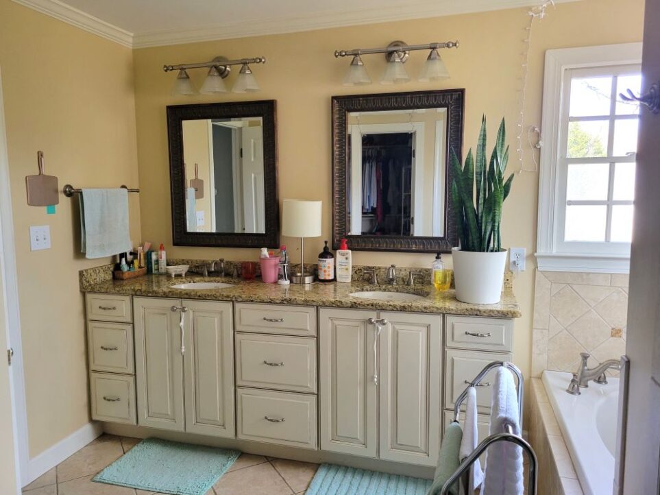 View of primary bathroom facing the double sink which includes a long countertop and ample cabinet space and drawers for toiletries below. A snack plant stands at the right end of the sink facing the tub and two windows (partially in view)