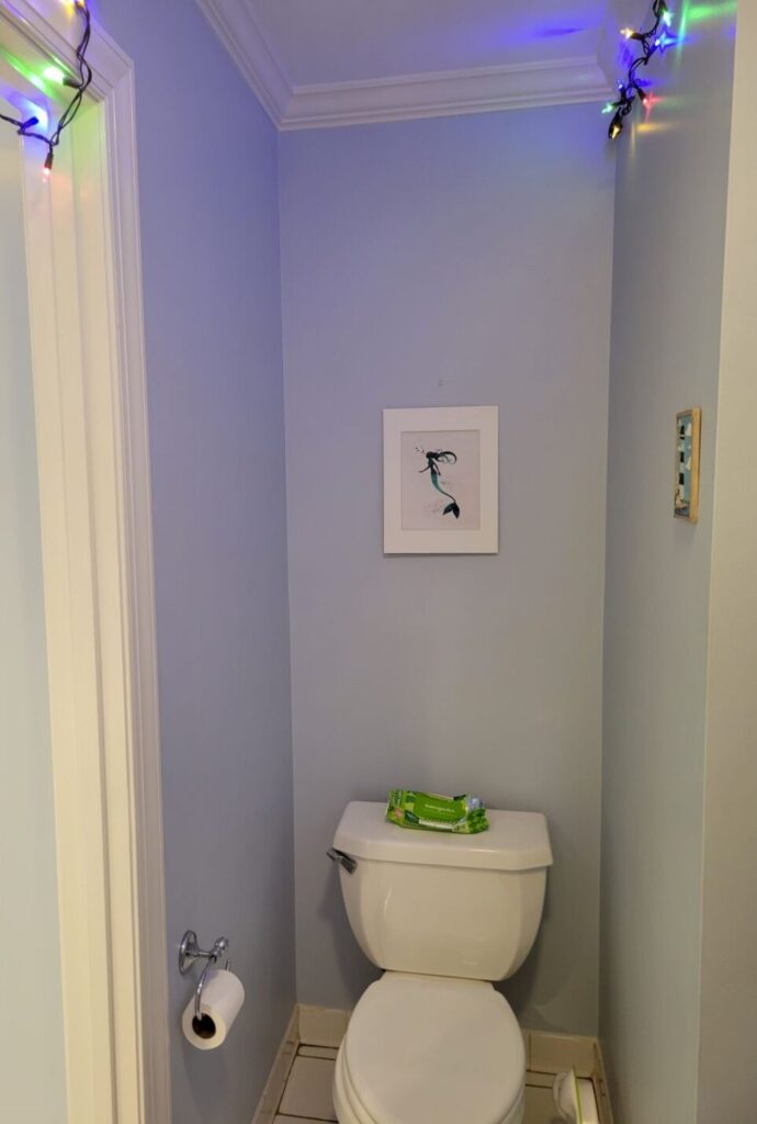 View of toilet nook in upstairs hallway bathroom. Some lit multi-coloured string lights are seen along parts of the ceiling above. Over the toilet hangs a small print of a mermaid with a white cardboard frame. To the right on the wall is a smaller lighthouse picture.
