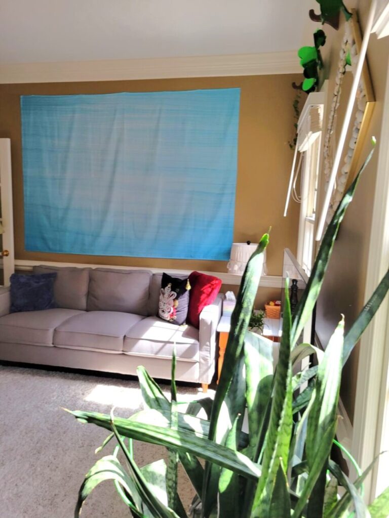 View of back LR standing in corner by built-in bookcase, facing the wall with the couch and blue tapestry. Large snake plant directly in front of shot with window (out of sight) to right and letting in lots of bright sunlight illuminating plant. Ahead against far wall is gray couch with throw pillows and above it bright blue tapestry hanging on wall.