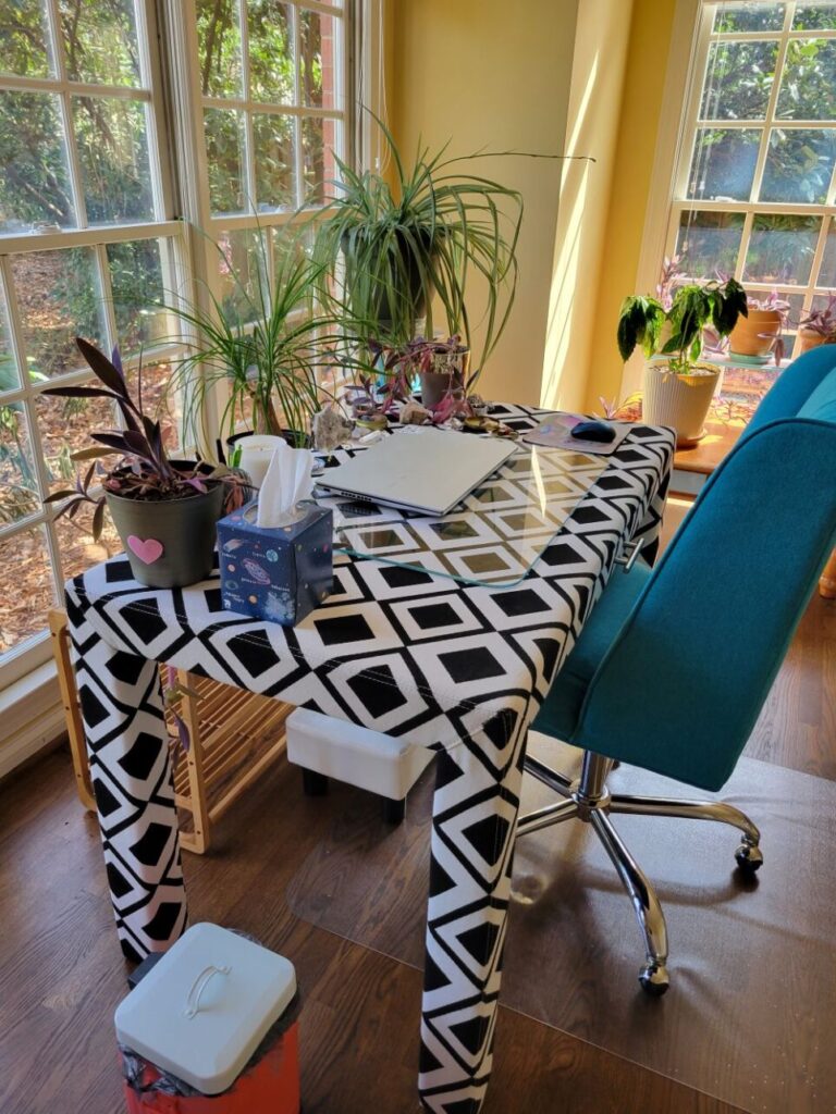 View of desk and chair in study, standing to its left side. On floor next to it is a small orange trash bin. On the desk is a laptop, mouse, tissue box, and a couple of wandering Jew plants. Behind it, in front of window, are a ponytail palm and airplane plant on table and plant stand. Further beyond desk in front of far window is coffee table with more plants.