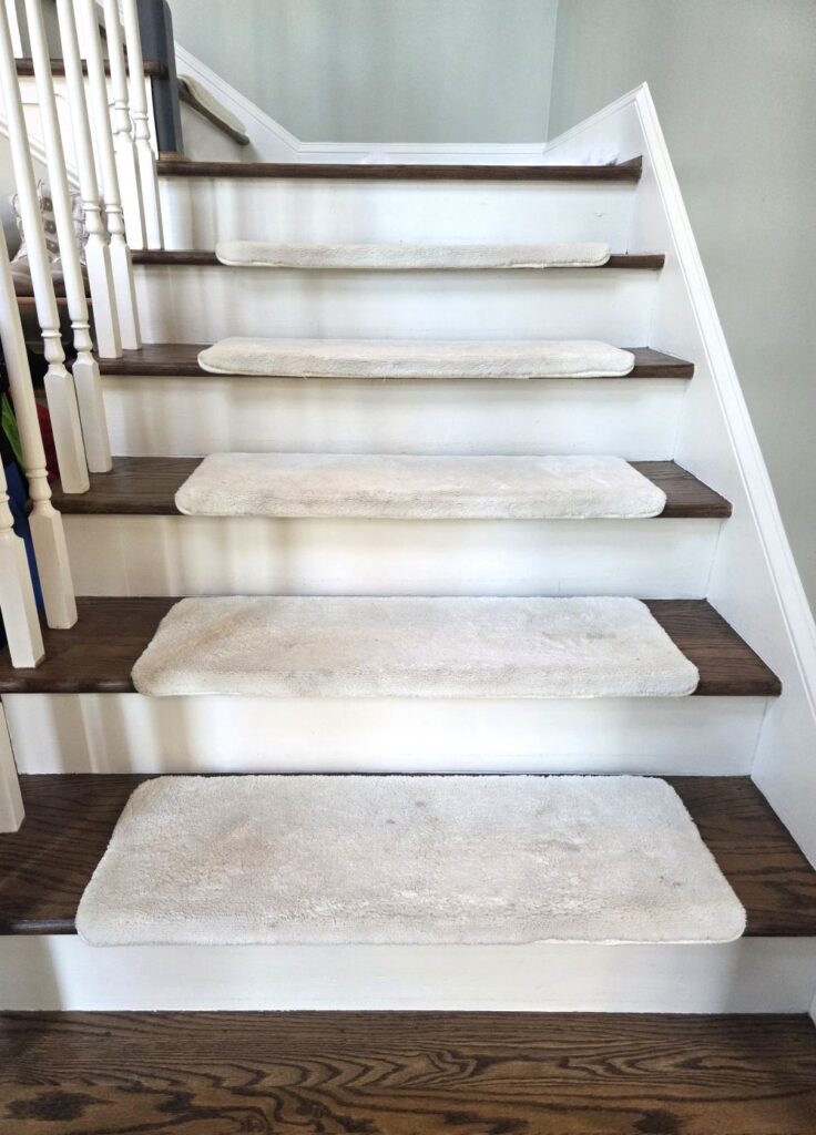 A lower half of stairs as seen from standing at foot of stairs, with all but the lowest covered in off-white plush carpet stair treads