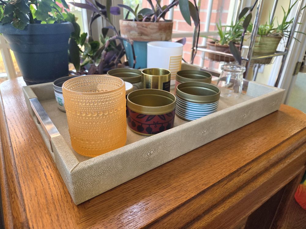 An off-white faux leather rectangular tray with silver-coloured metal handles on either end rests atop a wood table with potted plants. The tray is filled with a number of small jars of various materials (glass and metal) and of various sizes and colours