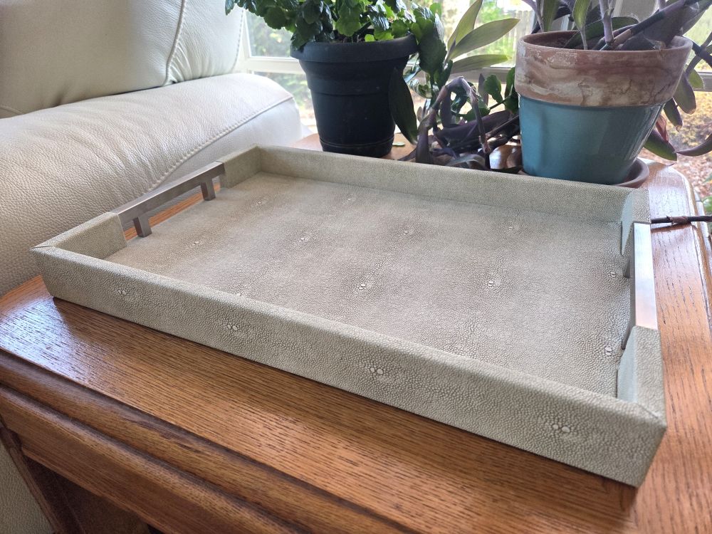 An empty off-white faux leather rectangular tray with silver-coloured metal handles on either end sits atop a wood table next to houseplants and a white couch. Basic household products (like this handsome tray) can be both useful and attractive.