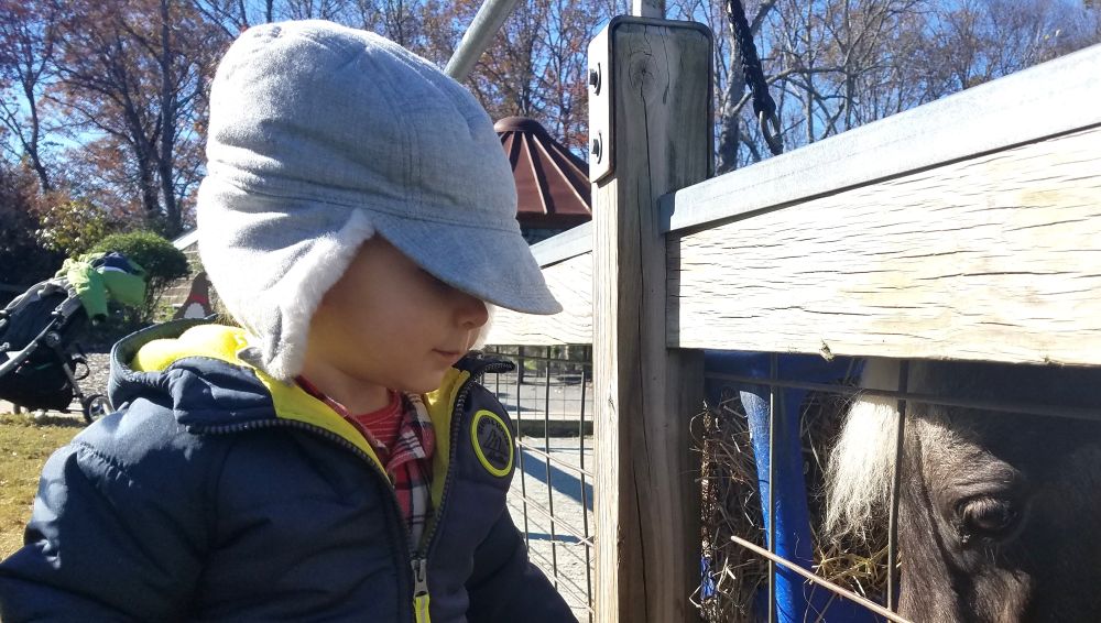 Photo of a toddler outside a pony enclosure wearing a light gray faux fur-lined winter hat with a bill extending to shade his eyes and ear covers extending down to cover his ears in cold weather