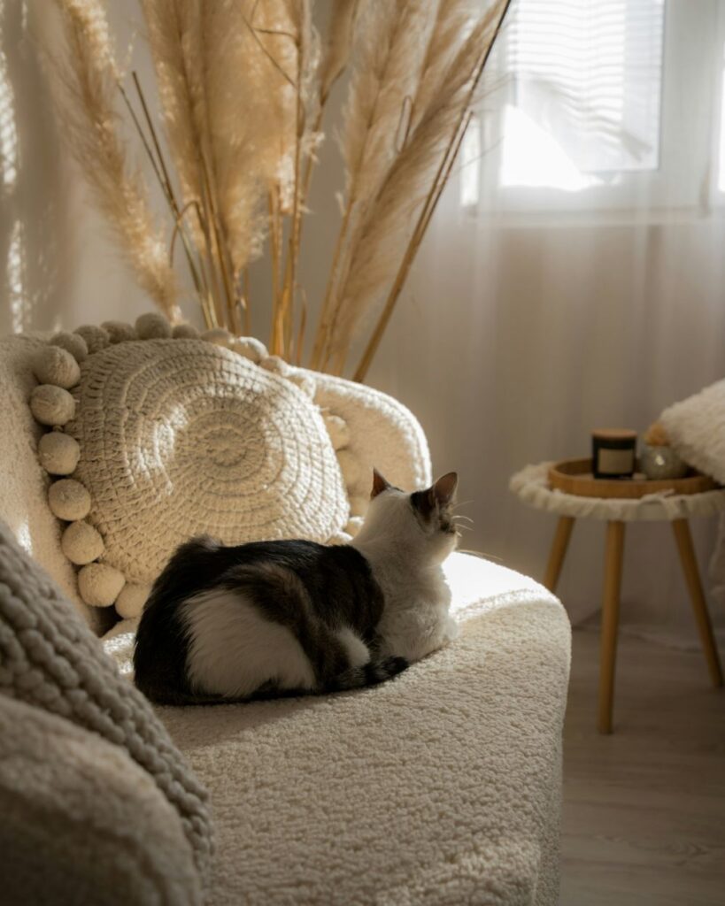 A cat rests atop a very soft cream-coloured couch with a cream-coloured knit pillow next to it and soft natural furnishings nearby