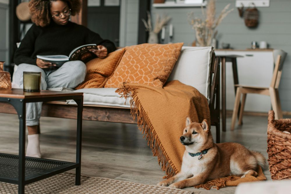A woman lounges on a sofa with cushions whilst reading a book, with a chow puppy resting atop the blanket hanging off the sofa nearby