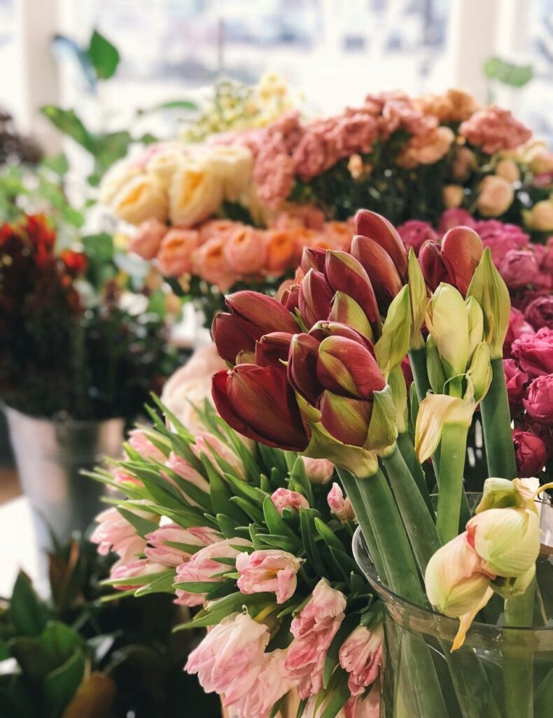 Several bunches of flowers in pinks, reds, and creams are shown inside a light room, a beautiful way to visually embrace February love