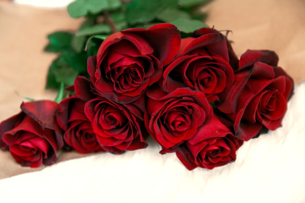 Close-up photo of a red rose bouquet lying on a table